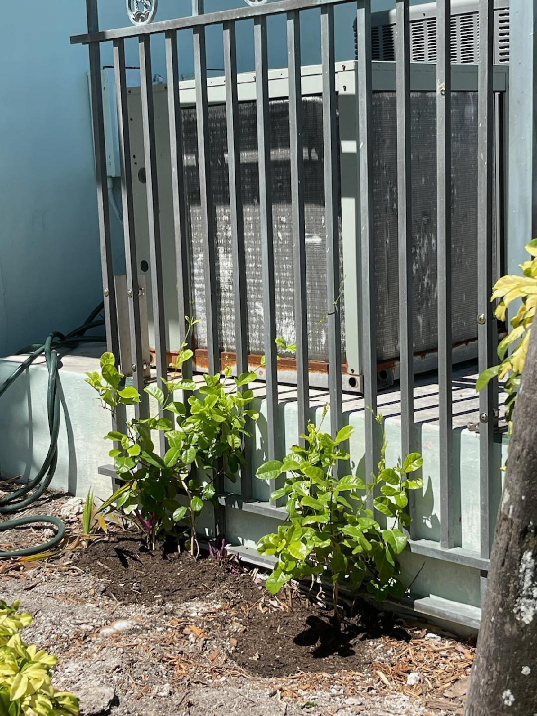 Inch Beach fence for City Hall A/C
